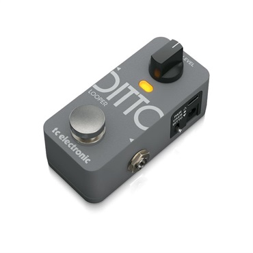 tc electronic DITTO 2 LOOPER ｜イケベ楽器店オンラインストア