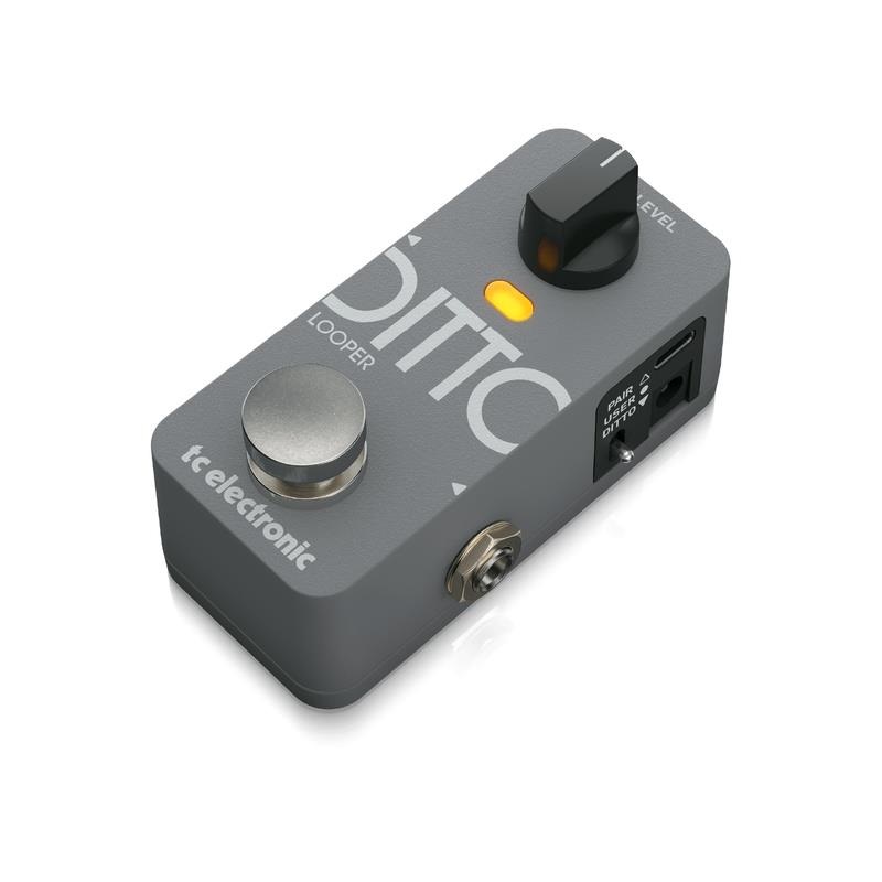 tc electronic DITTO 2 LOOPER ｜イケベ楽器店オンラインストア