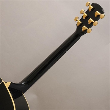 K.Yairi 【特価】 【店頭展示特価】WY-2 BK Kヤイリ 画像8