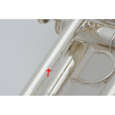 その他ブランド(管楽器・吹奏楽器) Getzen ゲッツェン / Custom Series 3810S 【C コルネット】 【新品チョイキズ超特価!!】 【夏先取り大特価セール】 画像2