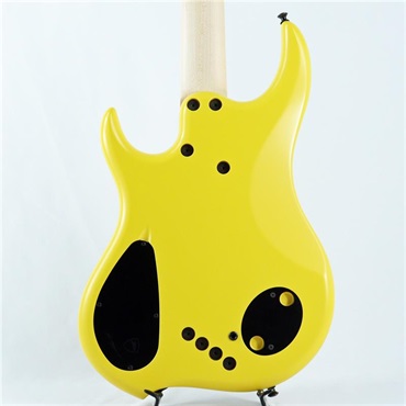 DINGWALL Lee Sklar Signature LSS5-FY with Rupert Neve Onboard Preamp [2026 NAMM Model] 画像4