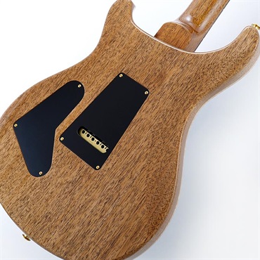 P.R.S. Custom 24 10 Top (Custom Color) SN.0421879 2025年生産品 画像7