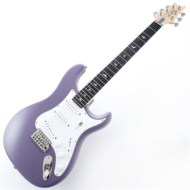P.R.S. Silver Sky Rosewood (Black Plum Satin) SN.0418838 2025年生産品 画像1