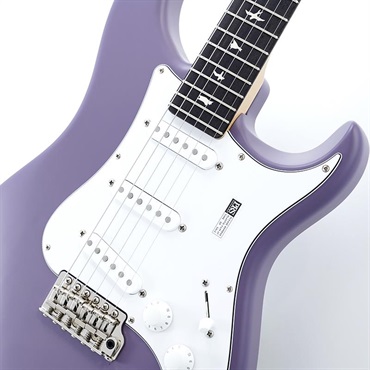 P.R.S. Silver Sky Rosewood (Black Plum Satin) SN.0418838 2025年生産品 画像3
