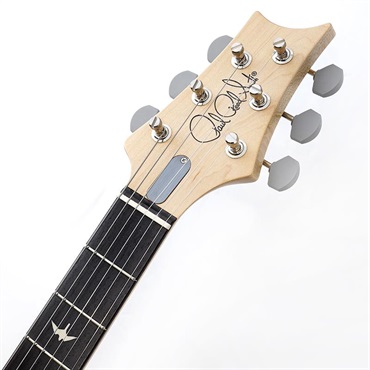 P.R.S. Silver Sky Rosewood (Black Plum Satin) SN.0418838 2025年生産品 画像8