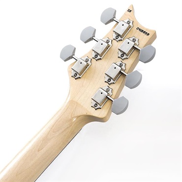 P.R.S. Silver Sky Rosewood (Black Plum Satin) SN.0418838 2025年生産品 画像9