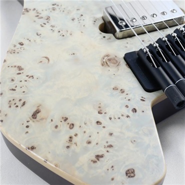 Strandberg USED 中古 BODEN J-Series J6 Standard Poplar Burl Top(Trans White)[SN.D1806016]ストランドバーグ 画像9