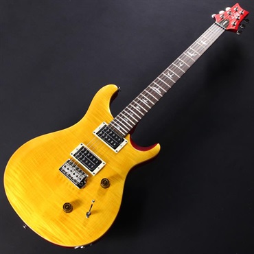 P.R.S. SE Custom 24 (Vintage Yellow) #CTI H023164【2025年生産品】 画像1