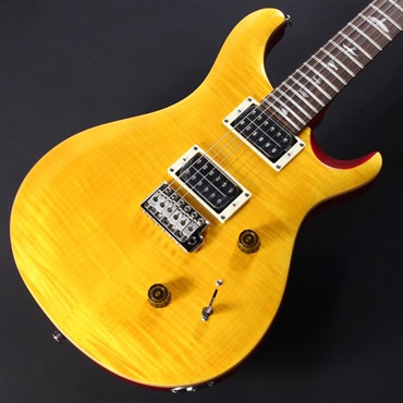 P.R.S. SE Custom 24 (Vintage Yellow) #CTI H023164【2025年生産品】 画像2