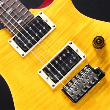 P.R.S. SE Custom 24 (Vintage Yellow) #CTI H023164【2025年生産品】 画像3