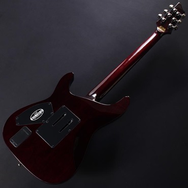 SCHECTER HellRaiser C-1 FR [AD-C-1-FR-HR] (BCH) #W25081362 画像5