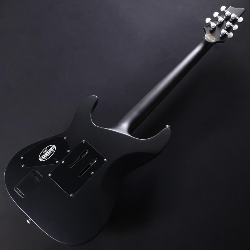 SCHECTER DAMIEN PLATINUM-6 FR [AD-DM-PTM-FR] (SBK) #W25081340