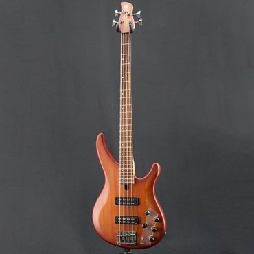 YAMAHA USED 中古 TRBX504 (BRB) 画像2
