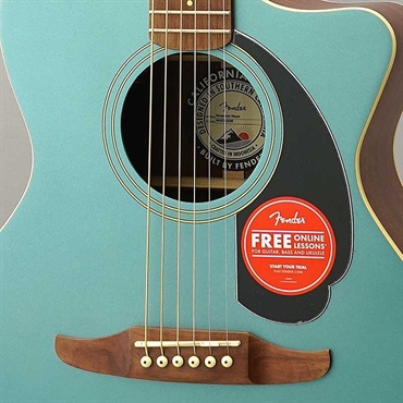 Fender Acoustics 【期間限定！アクセ11点セット付き！】【数量限定特価】 Fender Newporter Player (Tidepool) フェンダー 画像8