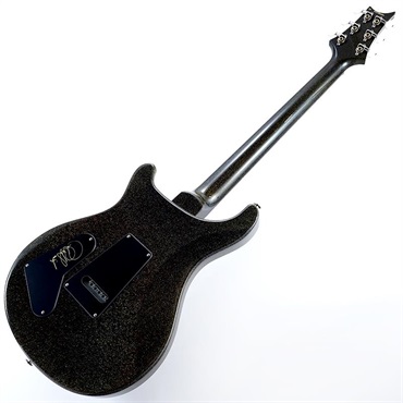 P.R.S. S2 Special Semi-Hollow (Custom Color) SN.S2085984 2025年生産品 画像2