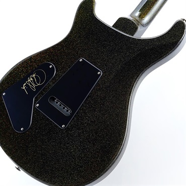 P.R.S. S2 Special Semi-Hollow (Custom Color) SN.S2085984 2025年生産品 画像7