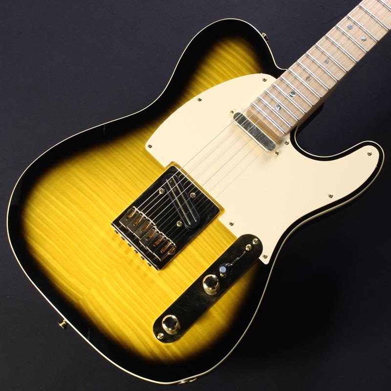 Fender Made in Japan USED 中古 Richie Kotzen Telecaster (Brown