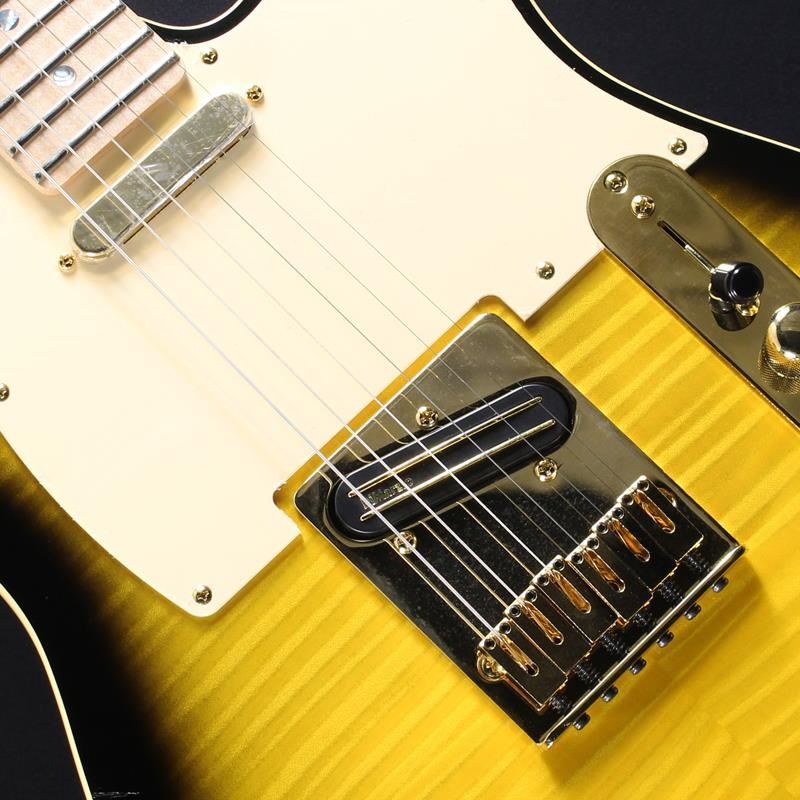 Fender Made in Japan USED 中古 Richie Kotzen Telecaster (Brown
