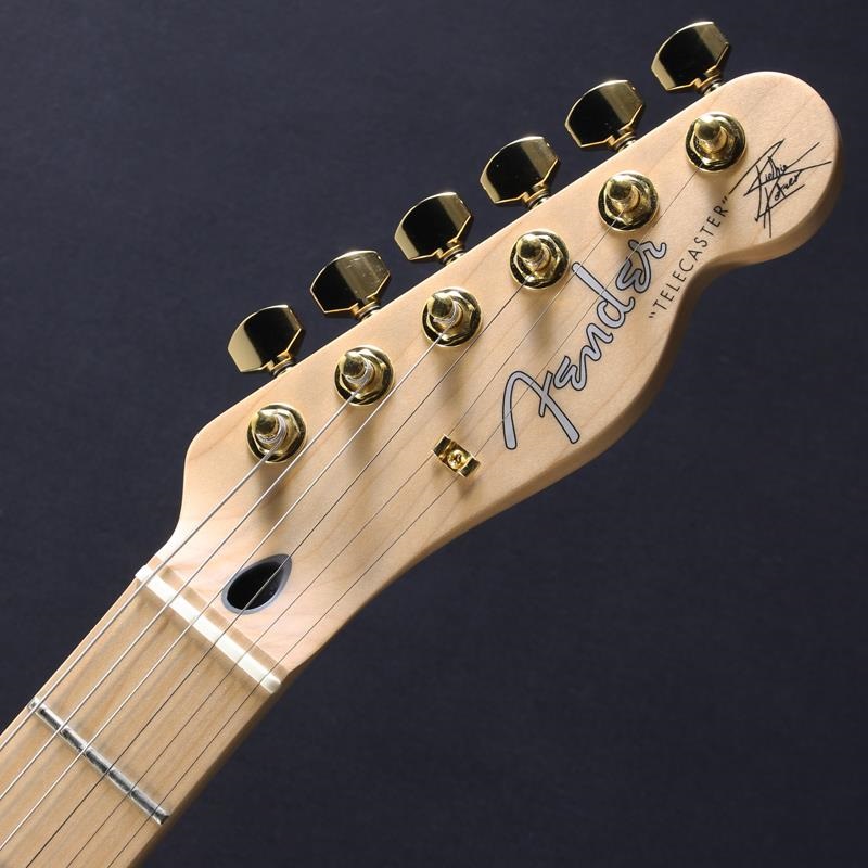 Fender Made in Japan USED 中古 Richie Kotzen Telecaster (Brown