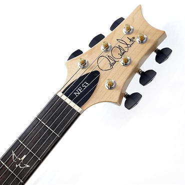 P.R.S. NF 53 Rosewood (Orange Tabby) SN.0418235 2025年生産品 画像8