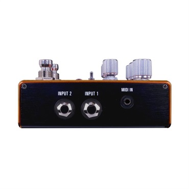 SOURCE AUDIO SA281 PATHWAYS [Reverb + Tremolo] 画像1