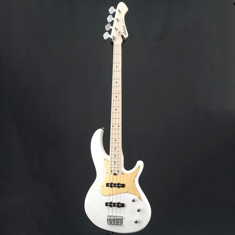 Aria ProII USED 中古 RSB-618/4 (WH) ｜イケベ楽器店オンラインストア