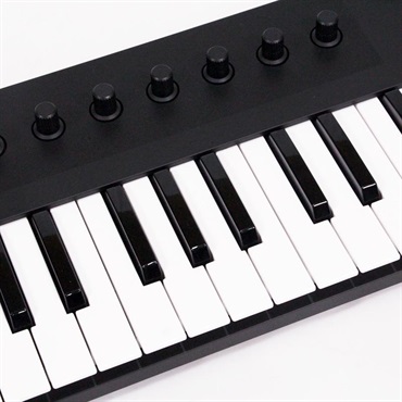 Native Instruments USED 中古 KOMPLETE KONTROL M32 (32鍵USB MIDIコントローラー)(ネイティブ・インストゥルメンツ) 画像1