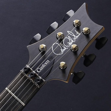 P.R.S. Custom 24 ''Floyd'' (Carroll Blue) #0415774【2025年生産品】 画像4