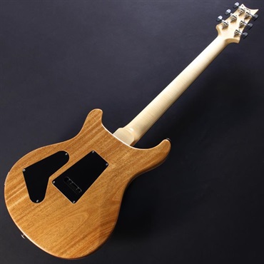 P.R.S. Custom 24 ''Floyd'' (Carroll Blue) #0415774【2025年生産品】 画像5