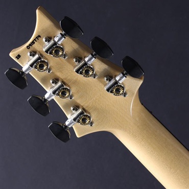 P.R.S. Custom 24 ''Floyd'' (Carroll Blue) #0415774【2025年生産品】 画像6