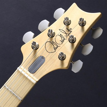 P.R.S. Silver Sky Maple (Tungsten) [John Mayer Model] #0385902【2024年生産品】 画像4