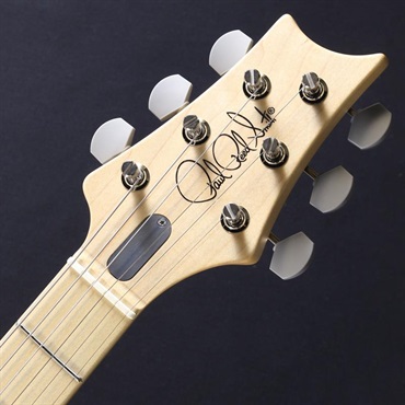 P.R.S. Silver Sky Maple (Faded Black Tee - Satin) [John Mayer Model] #0410830【2025年生産品】 画像4