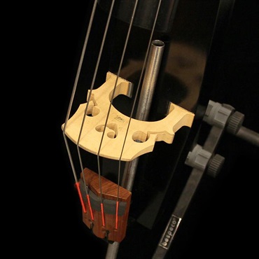 ALTER EGO USED 中古 Baby Ego Figaro Y Full Sound (Black Barnish) 画像2