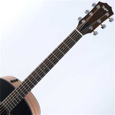 TAYLOR 117e Japan LTD Blacktop テイラー 画像3