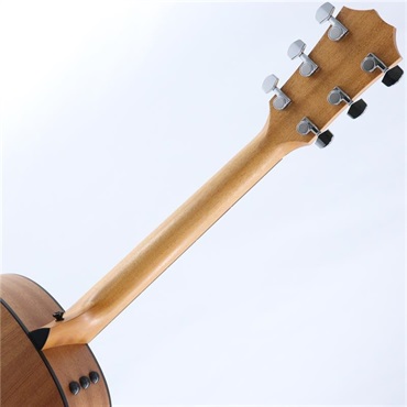 TAYLOR 117e Japan LTD Blacktop テイラー 画像7