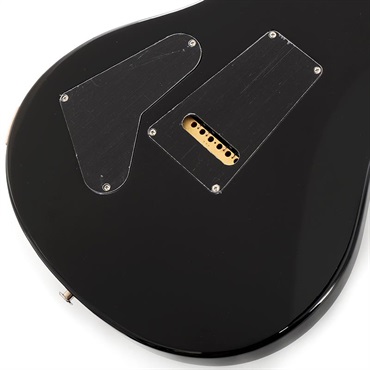 P.R.S. Custom 24 (Custom Color) SN.0404131 画像7