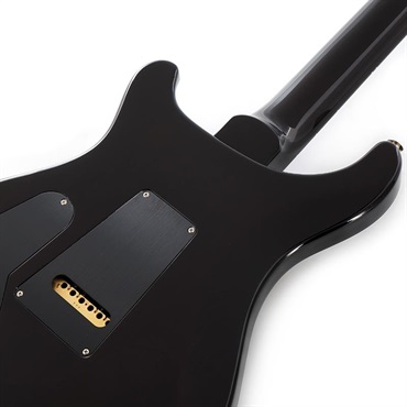 P.R.S. Custom 24 (Black Gold Wraparound Burst) SN.0403546 画像5