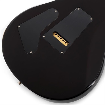 P.R.S. Custom 24 (Black Gold Wraparound Burst) SN.0403546 画像7