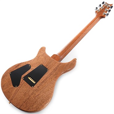 P.R.S. Custom 24 10 Top (Arctic Blue) SN.0422150 画像2