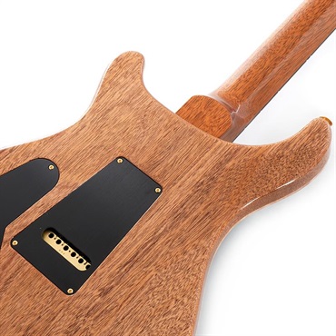 P.R.S. Custom 24 10 Top (Arctic Blue) SN.0422150 画像5