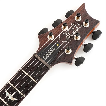 P.R.S. Custom 24 10 Top (Arctic Blue) SN.0422150 画像6