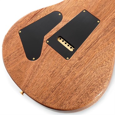 P.R.S. Custom 24 10 Top (Arctic Blue) SN.0422150 画像7