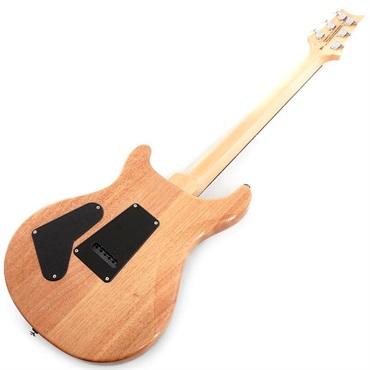 P.R.S. SE Custom 24 (Turquoise) 画像2