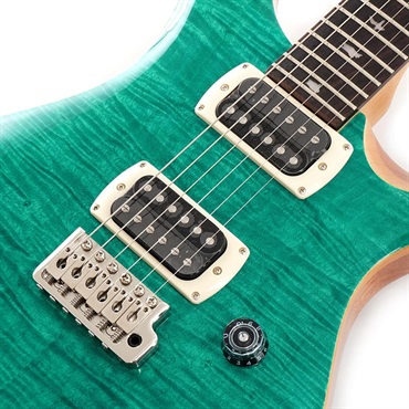 P.R.S. SE Custom 24 (Turquoise) 画像3