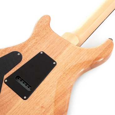 P.R.S. SE Custom 24 (Turquoise) 画像5