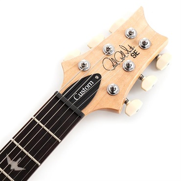 P.R.S. SE Custom 24 (Turquoise) 画像6