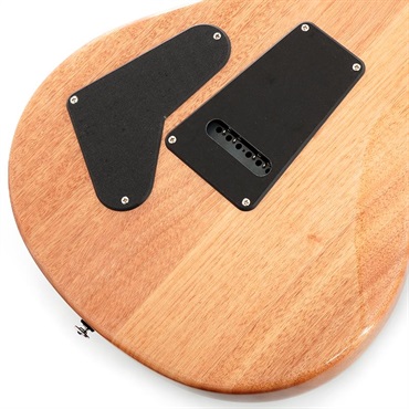 P.R.S. SE Custom 24 (Turquoise) 画像7