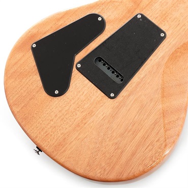 P.R.S. SE Custom 24 (Charcoal) 画像7