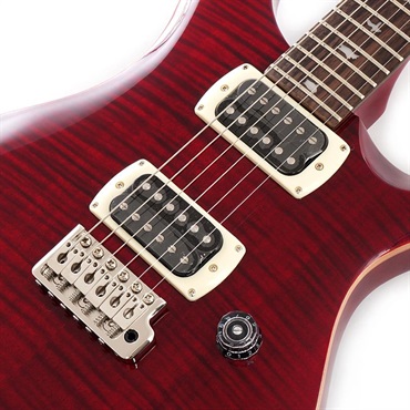 P.R.S. SE Custom 24 (Ruby)[日本限定カラーモデル] 画像3