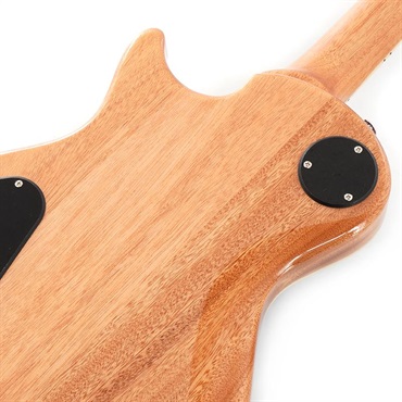 P.R.S. SE Zach Myers (Myers Blue) 画像5